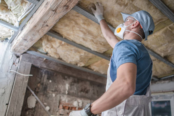 Best Cellulose Insulation in Clementon, NJ